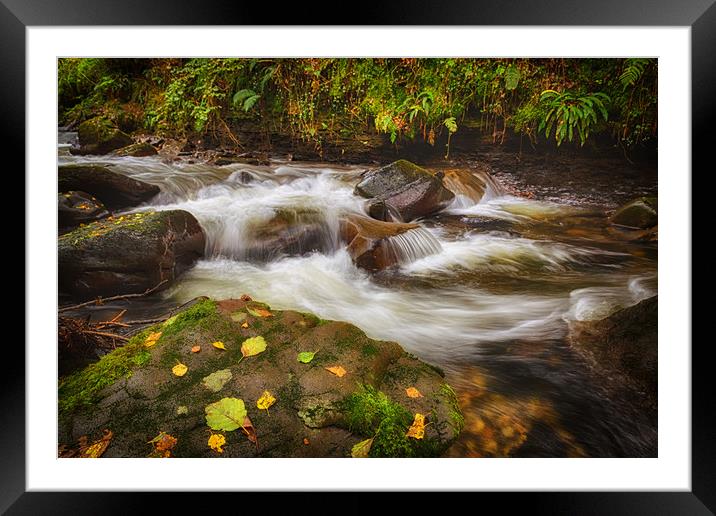 Autumn at Melincourt Brook Framed Mounted Print by Leighton Collins
