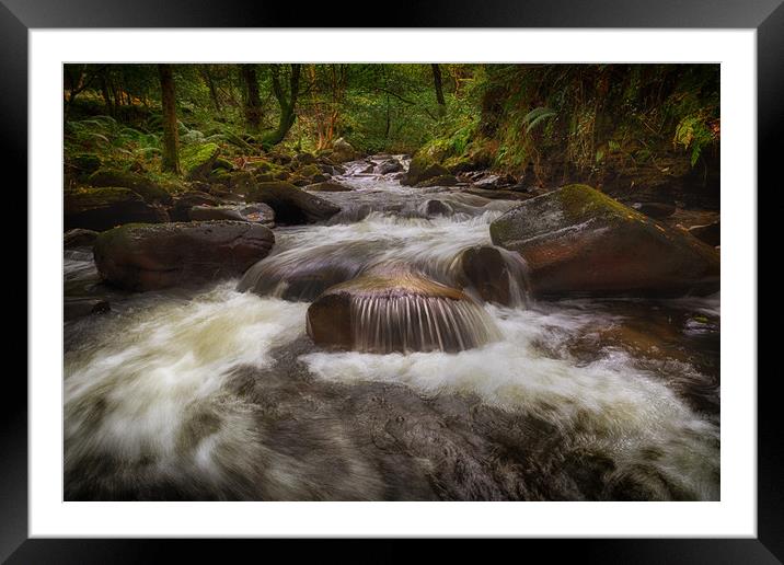 Waterfall and rocks at Melincourt Framed Mounted Print by Leighton Collins