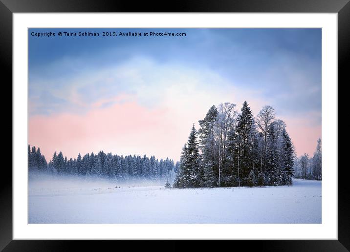 Winter Nightfall  Framed Mounted Print by Taina Sohlman