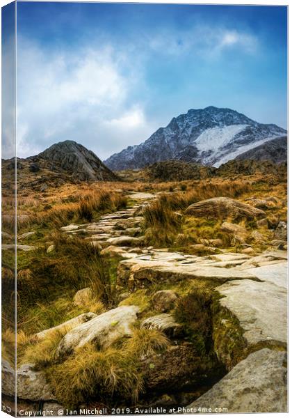 Path To Tryfan Canvas Print by Ian Mitchell