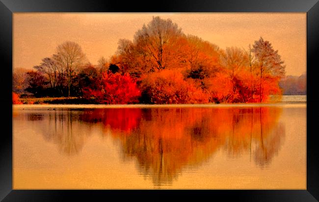 Dreamy Lake Reflections Framed Print by Darren Burroughs