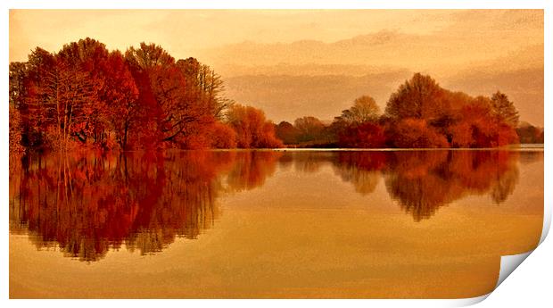 Dreamy Lake Reflections Print by Darren Burroughs