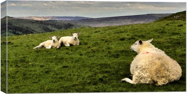 It's been a hard day in the Peaks. Canvas Print by Darren Burroughs