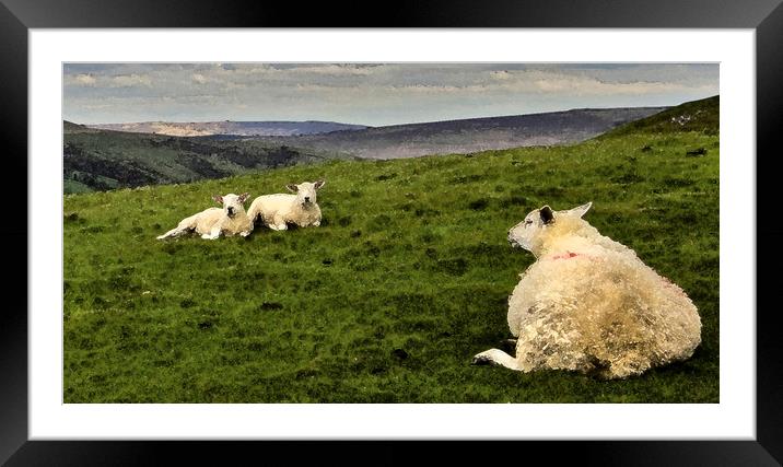 It's been a hard day in the Peaks. Framed Mounted Print by Darren Burroughs