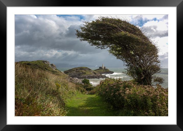 Mumbles lighthouse framed by tree. Framed Mounted Print by Bryn Morgan