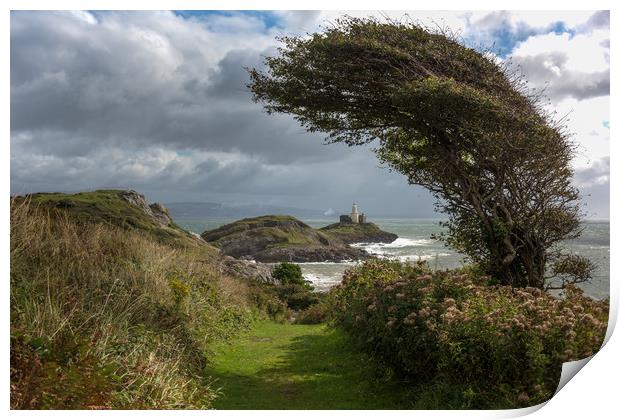 Mumbles lighthouse framed by tree. Print by Bryn Morgan