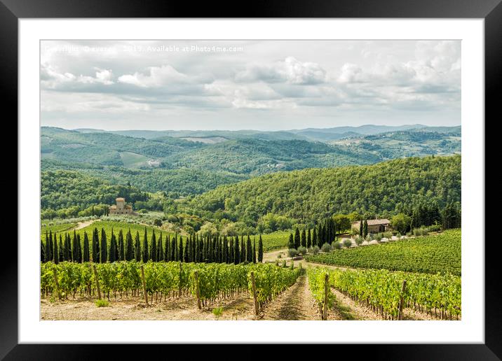 Vineyards landscapes in the morning in Albola. Framed Mounted Print by eyecon 