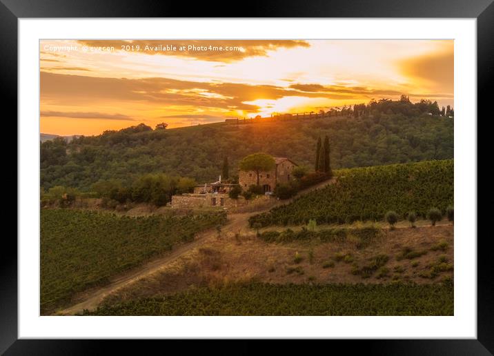 Vineyard near Volpaia town in Chianti region Framed Mounted Print by eyecon 