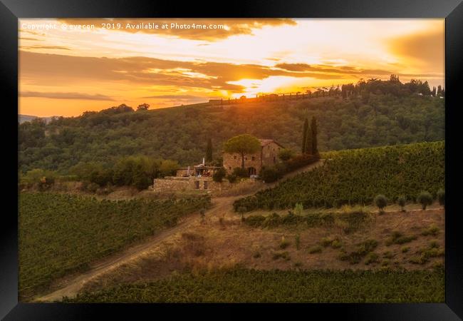 Vineyard near Volpaia town in Chianti region Framed Print by eyecon 