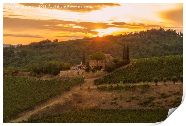 Vineyard near Volpaia town in Chianti region Print by eyecon 