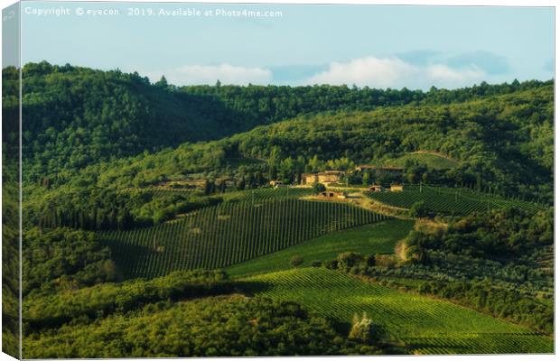 Vineyard near Volpaia town in Chianti region Canvas Print by eyecon 