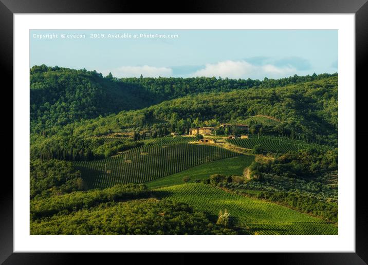 Vineyard near Volpaia town in Chianti region Framed Mounted Print by eyecon 