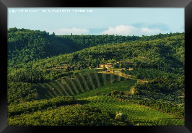 Vineyard near Volpaia town in Chianti region Framed Print by eyecon 