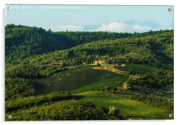 Vineyard near Volpaia town in Chianti region Acrylic by eyecon 