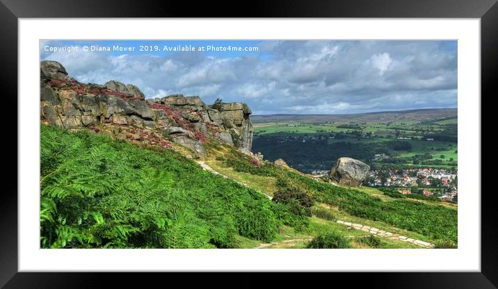 The Cow and Calf Ilkley Moor Framed Mounted Print by Diana Mower