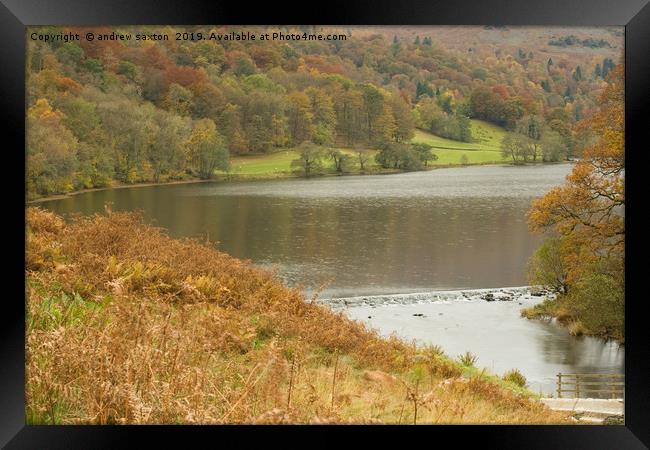RYDAL AUTUMN Framed Print by andrew saxton