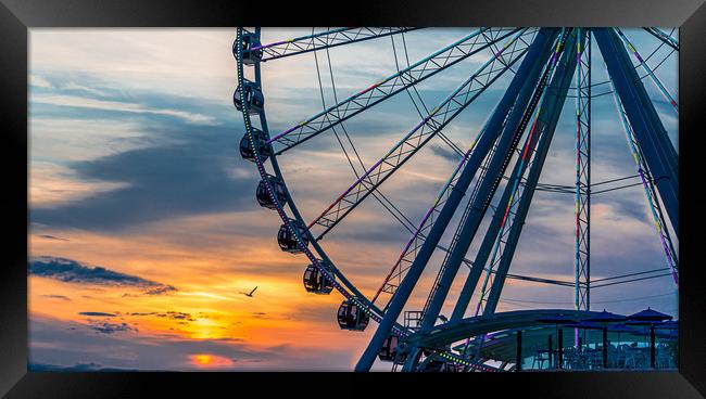 Seagull by Wheel at Sunset Framed Print by Darryl Brooks