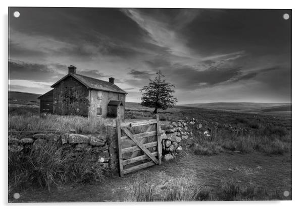 Nuns Cross Farm Dartmoor  Acrylic by Eddie John