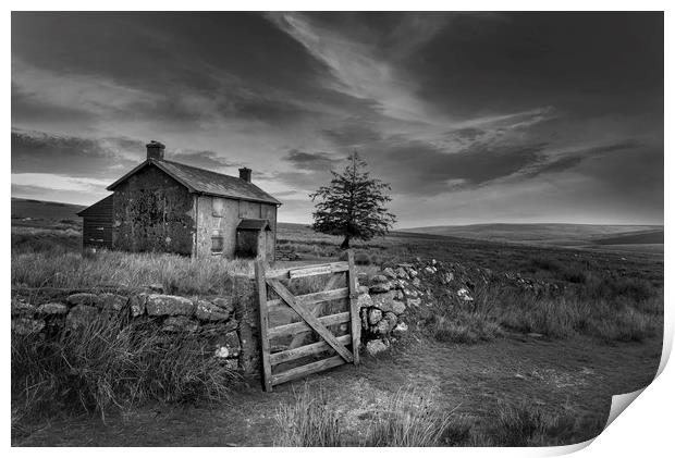 Nuns Cross Farm Dartmoor  Print by Eddie John