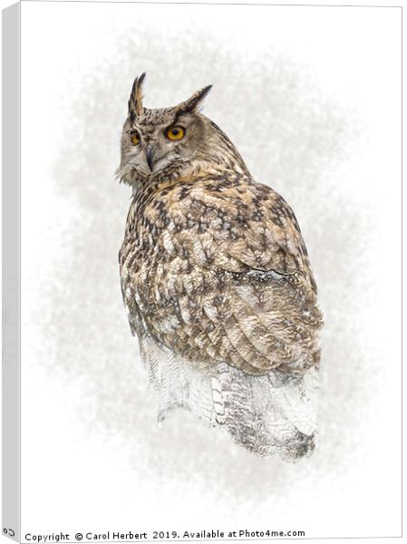 Turkmenian Eagle Owl Canvas Print by Carol Herbert