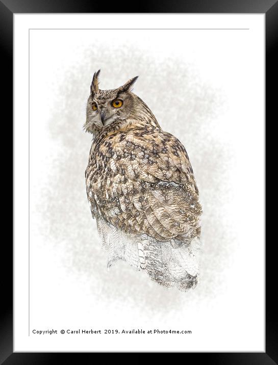 Turkmenian Eagle Owl Framed Mounted Print by Carol Herbert