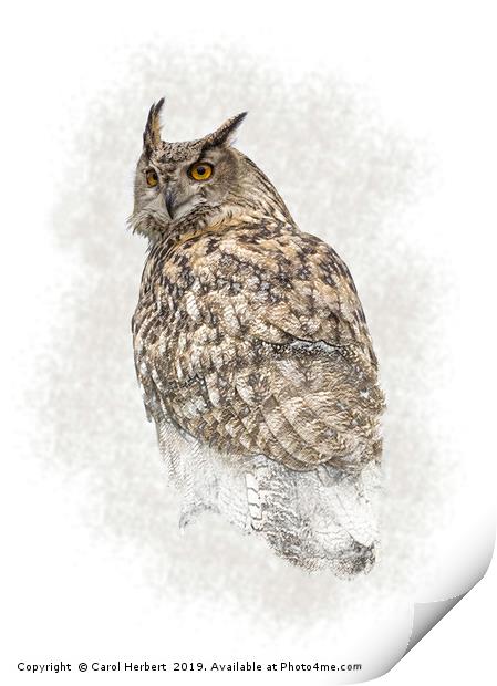 Turkmenian Eagle Owl Print by Carol Herbert