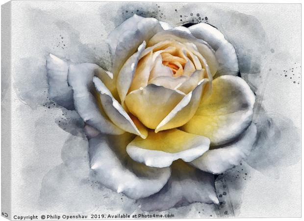 watercolor painting of a large white rose with glo Canvas Print by Philip Openshaw