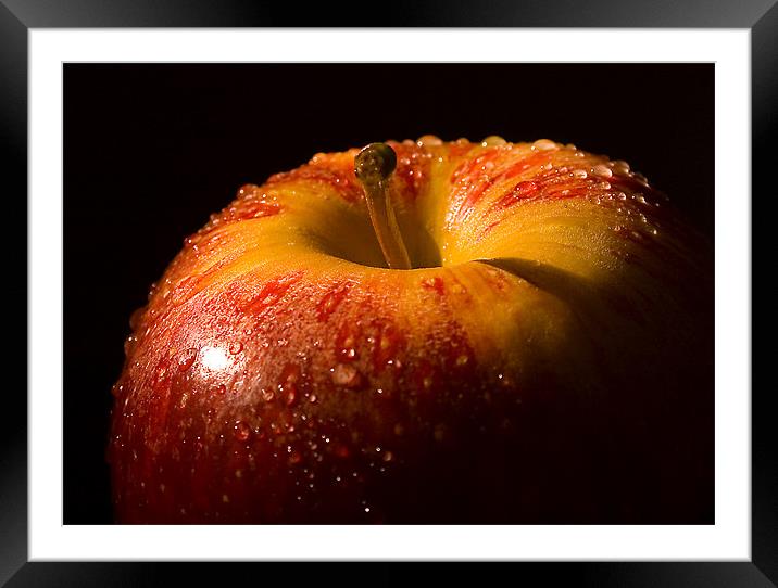 An Apple a day Framed Mounted Print by Steven Shea