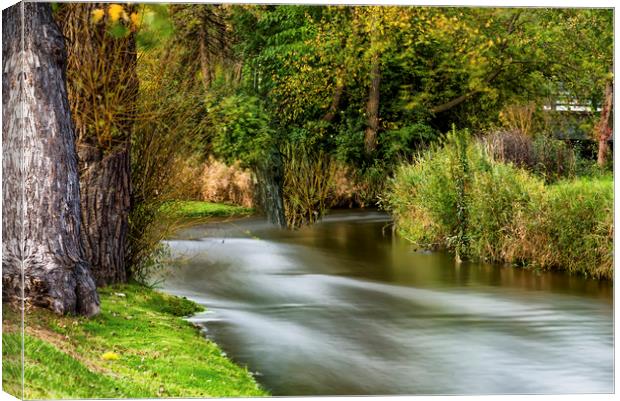 The Stream Canvas Print by Jonah Anderson Photography