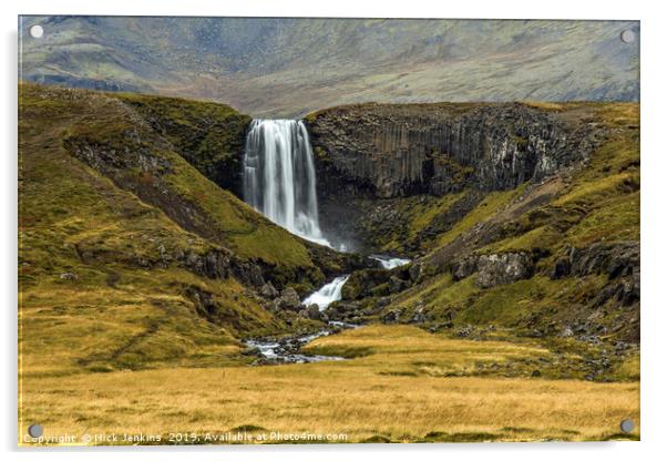 Svodufoss Falls Snaefellsness Peninsular Iceland Acrylic by Nick Jenkins
