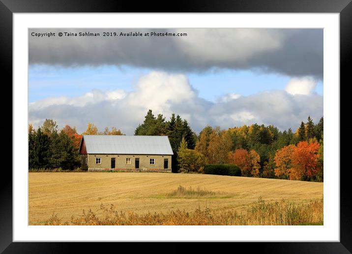 October Afternoon in the Country Framed Mounted Print by Taina Sohlman