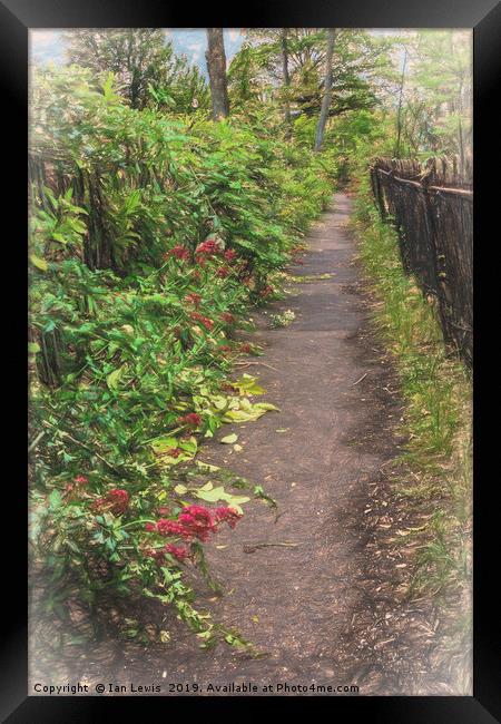 Footpath Framed Print by Ian Lewis