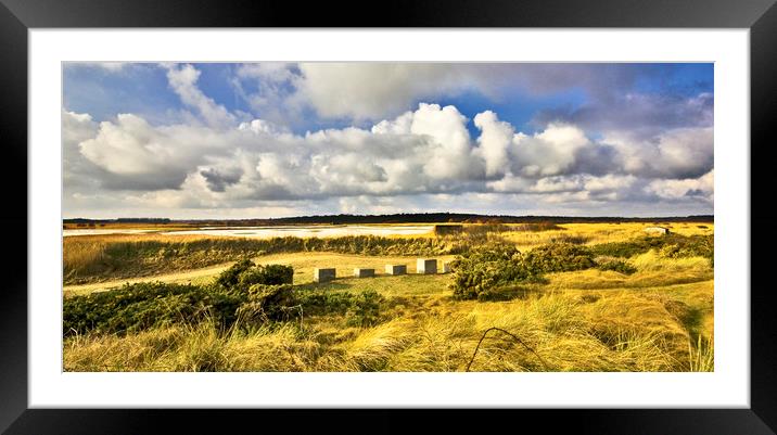Minsmere RSPB on the Suffolk Coast. Framed Mounted Print by Darren Burroughs
