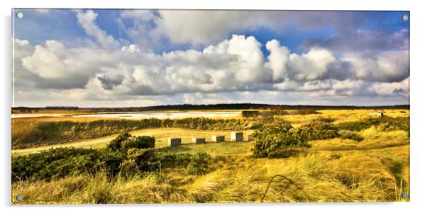 Minsmere RSPB on the Suffolk Coast. Acrylic by Darren Burroughs