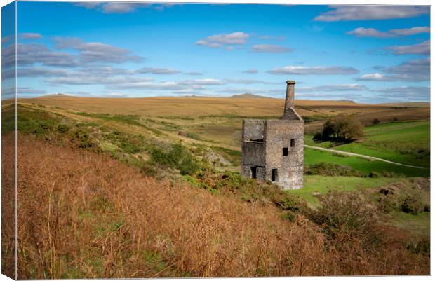 Wheal Betsy mine  Dartmoor  Canvas Print by Eddie John