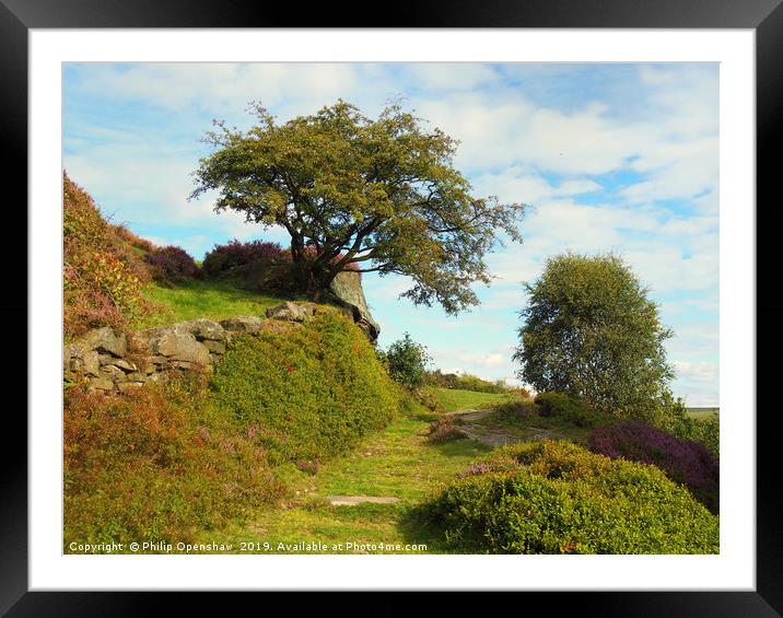 high moorland grass path in yorkshire with heather Framed Mounted Print by Philip Openshaw