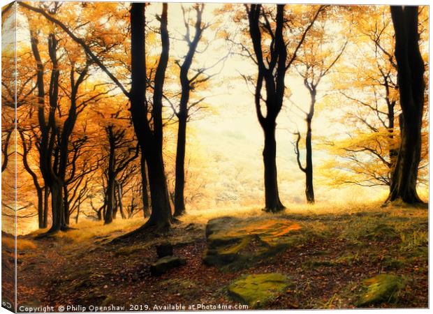 misty morning autumn forest sunrise in calderdale Canvas Print by Philip Openshaw