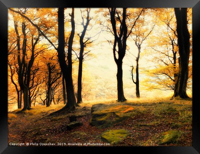 misty morning autumn forest sunrise in calderdale Framed Print by Philip Openshaw