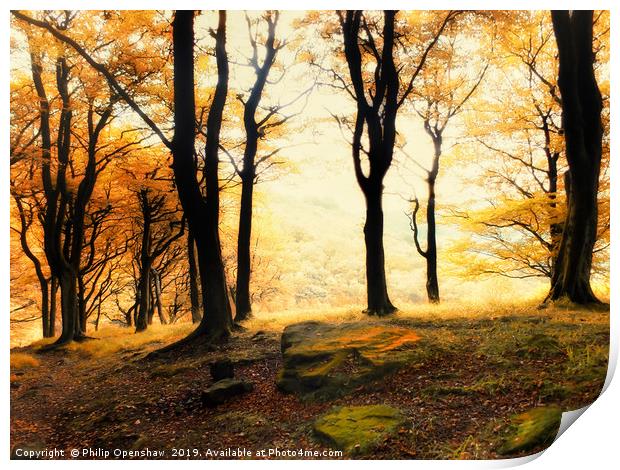 misty morning autumn forest sunrise in calderdale Print by Philip Openshaw