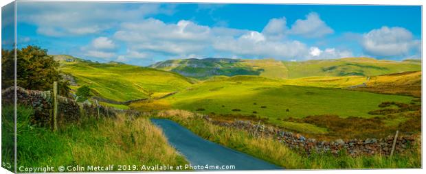Dales Panorama Canvas Print by Colin Metcalf