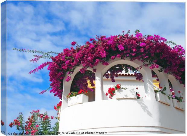 white balconies and flowers -  orotava tenerife Canvas Print by Philip Openshaw