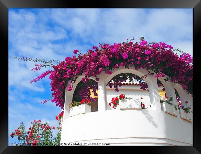 white balconies and flowers -  orotava tenerife Framed Print by Philip Openshaw
