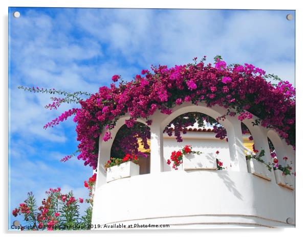 white balconies and flowers -  orotava tenerife Acrylic by Philip Openshaw