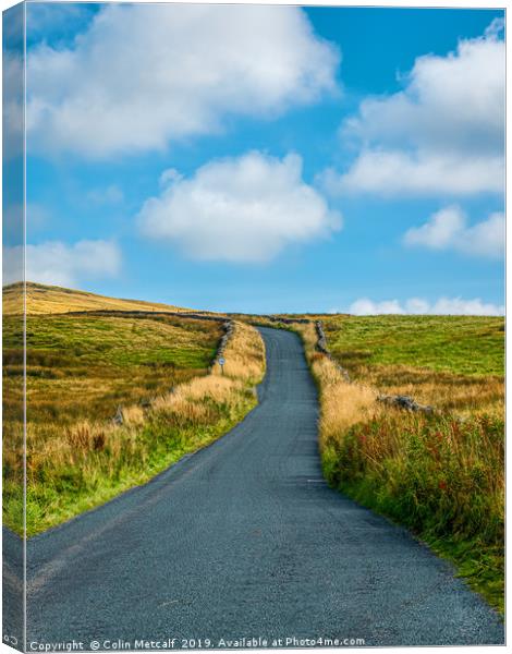Country Road Canvas Print by Colin Metcalf
