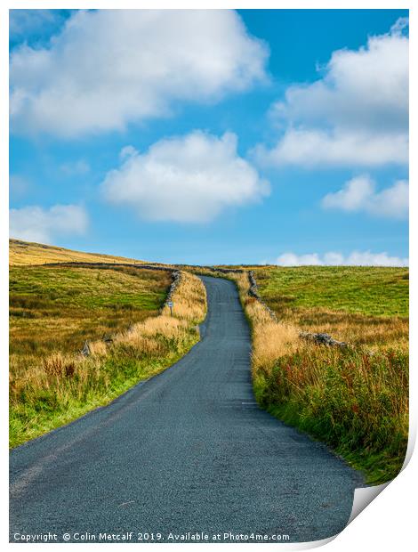 Country Road Print by Colin Metcalf
