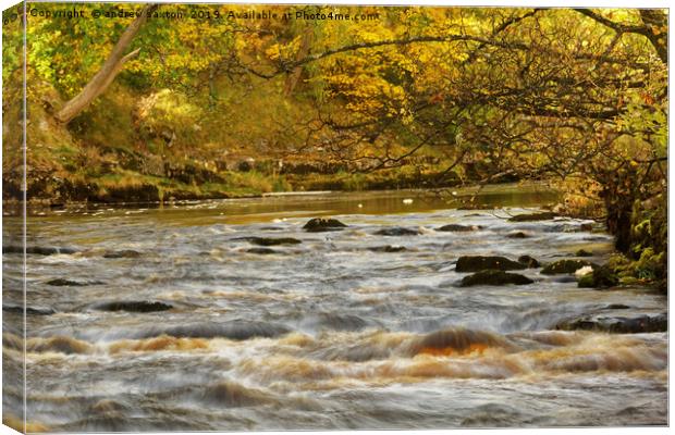 AUTUMN WATER, Canvas Print by andrew saxton