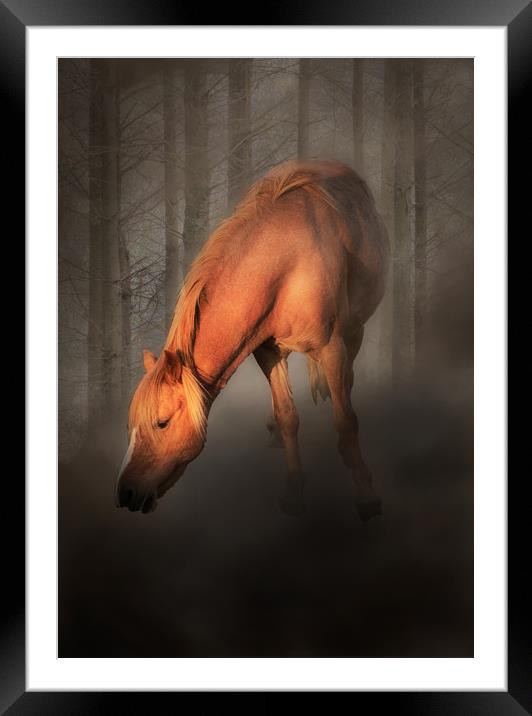 Horse in the mist Framed Mounted Print by Leighton Collins