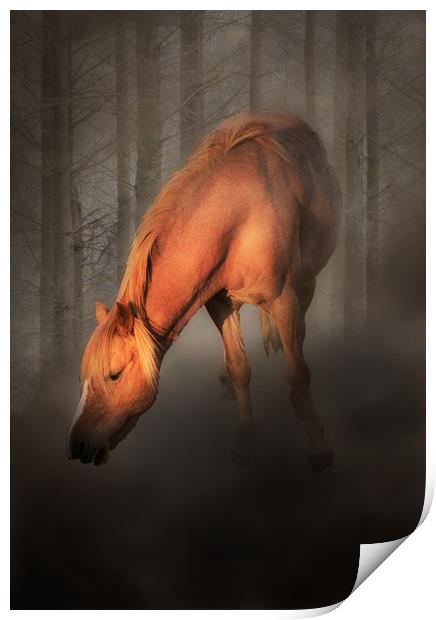 Horse in the mist Print by Leighton Collins