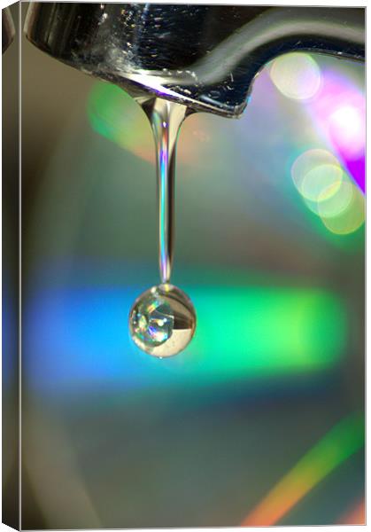 Drip Drop Canvas Print by Lucy Antony