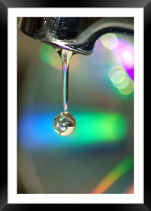 Drip Drop Framed Mounted Print by Lucy Antony